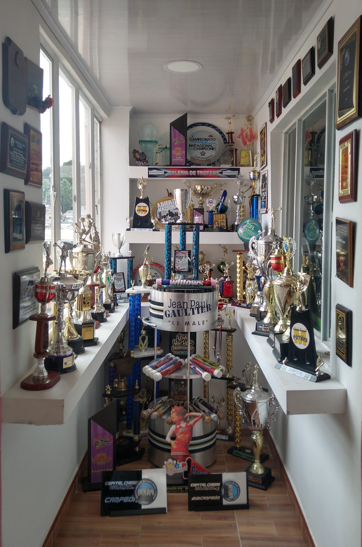 Trofeos y logros de Academia Willows